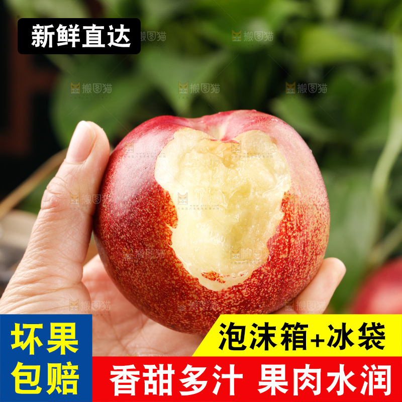 澳洲油桃