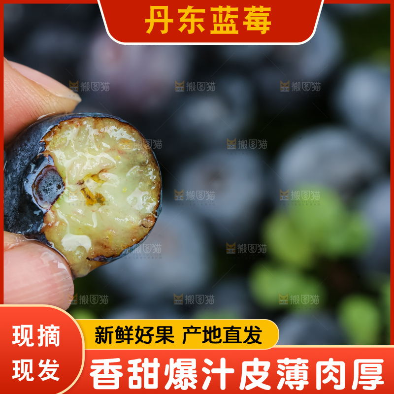 蓝莓