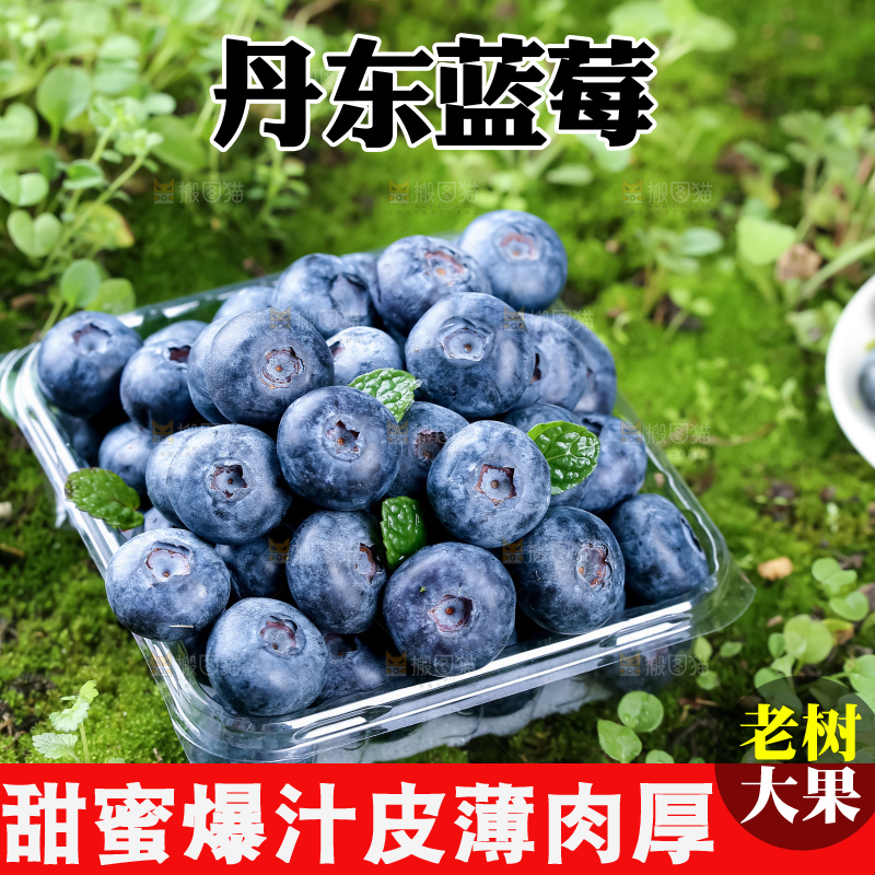 蓝莓
