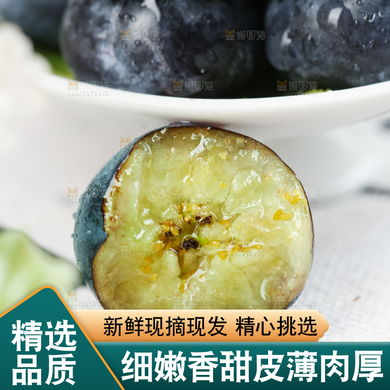 蓝莓