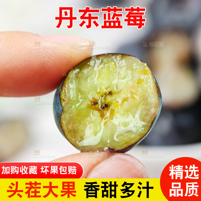 蓝莓