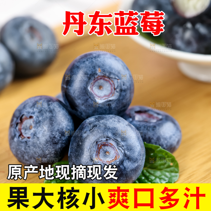 蓝莓