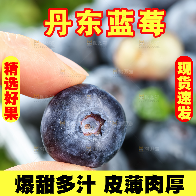 蓝莓