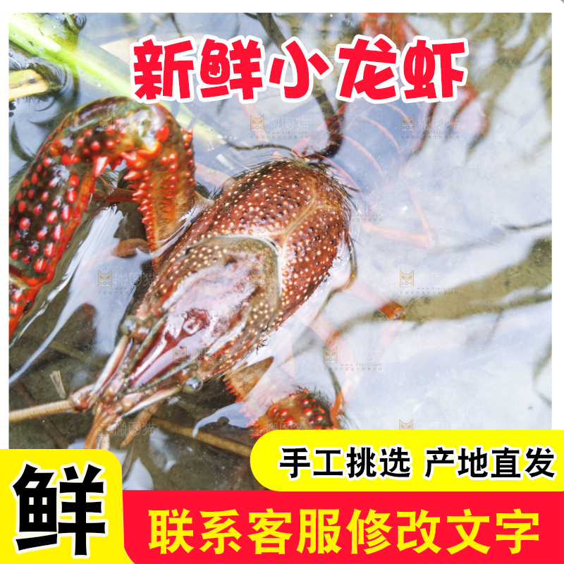 小龙虾
