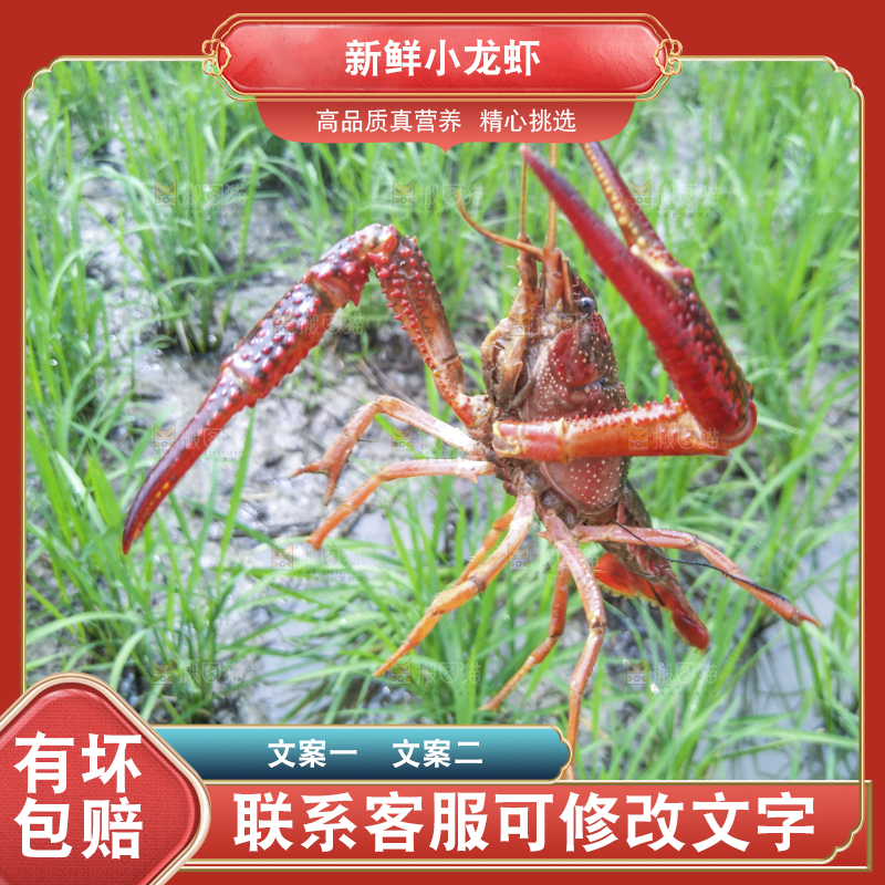 小龙虾