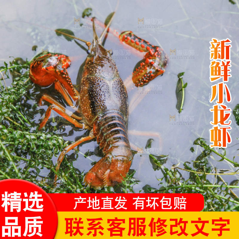 小龙虾