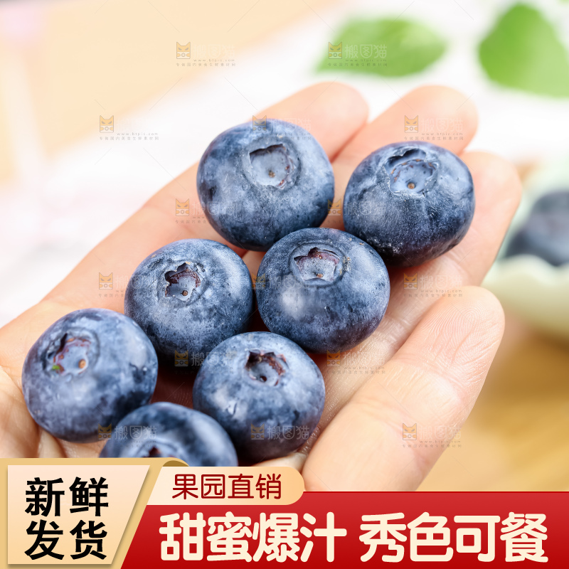 蓝莓