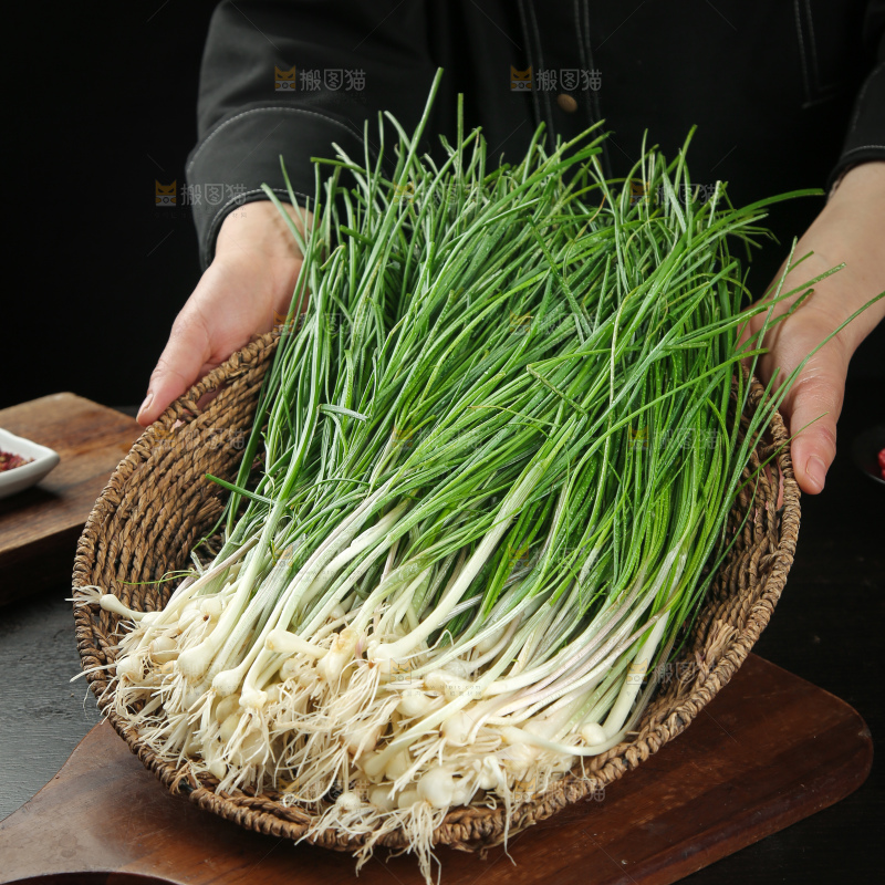 野葱
