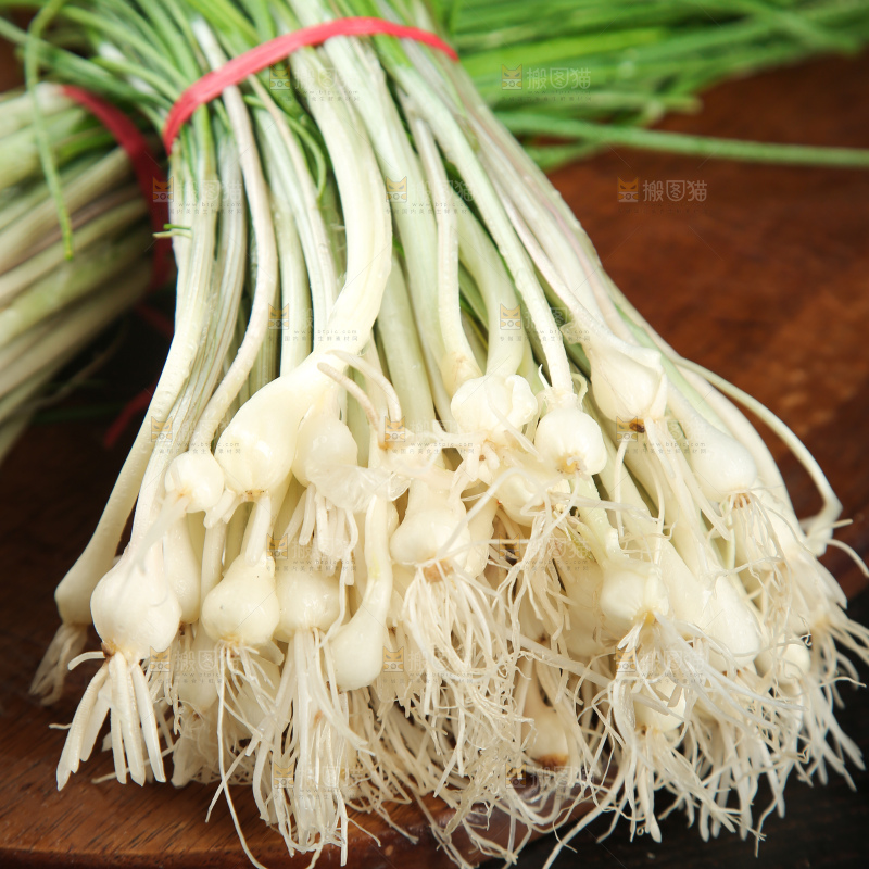 野葱