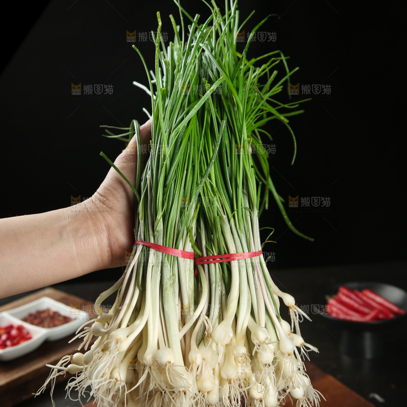 野葱