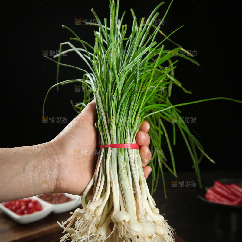 野葱