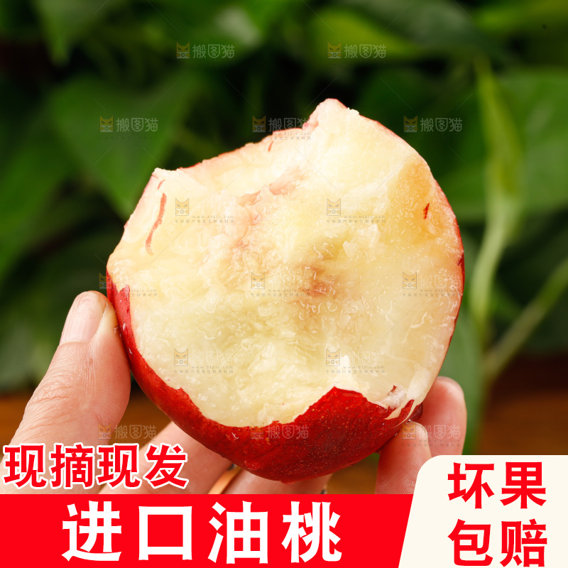 澳洲油桃