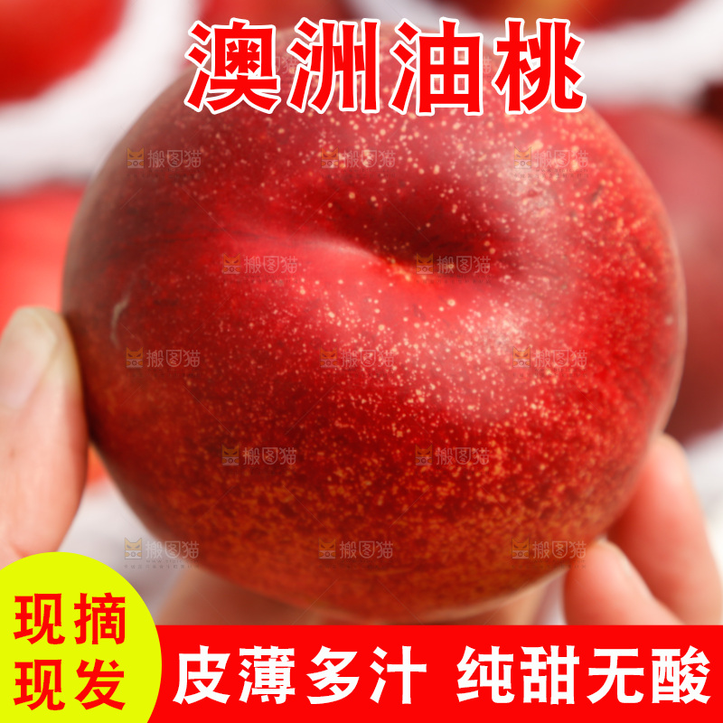 澳洲油桃