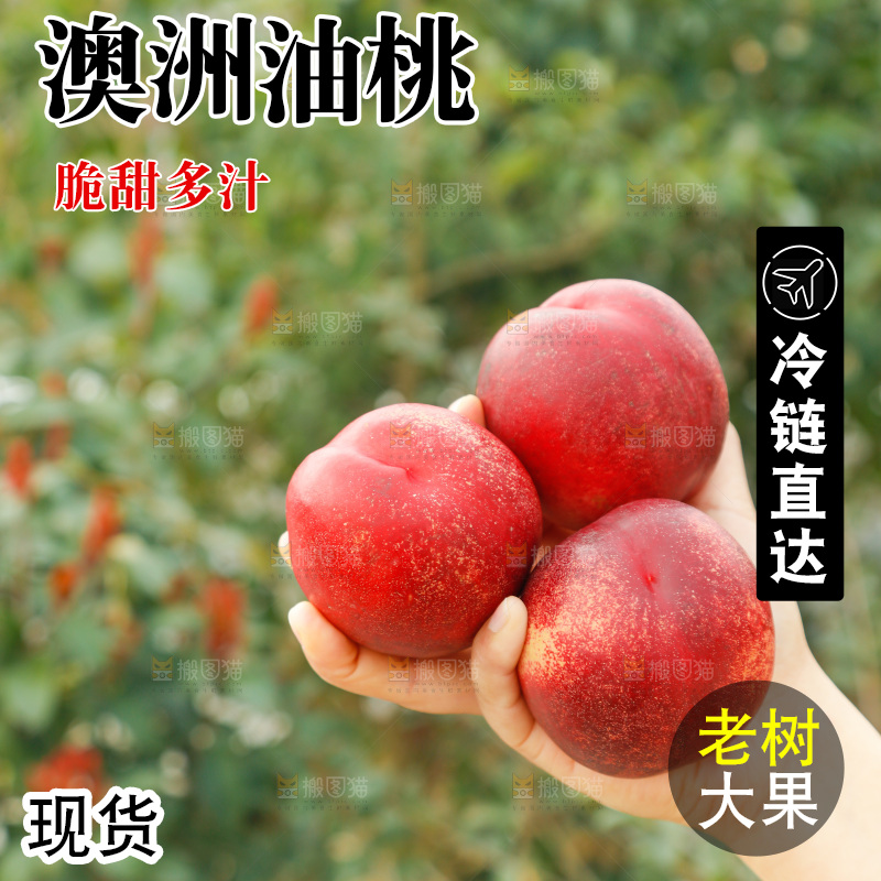 澳洲油桃