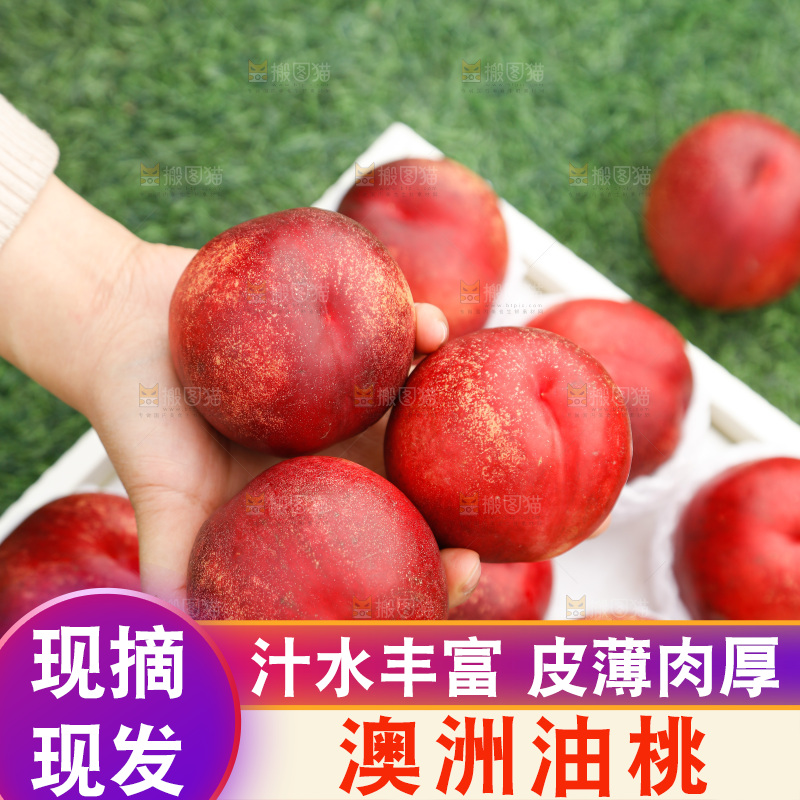 澳洲油桃