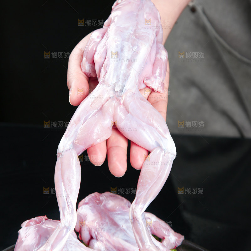 牛蛙
