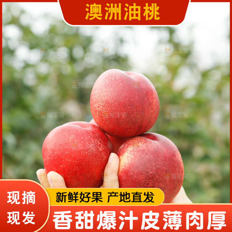 澳洲油桃