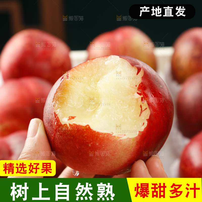 澳洲油桃