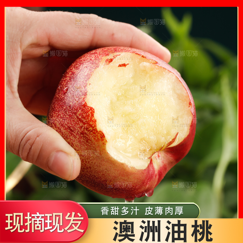 澳洲油桃