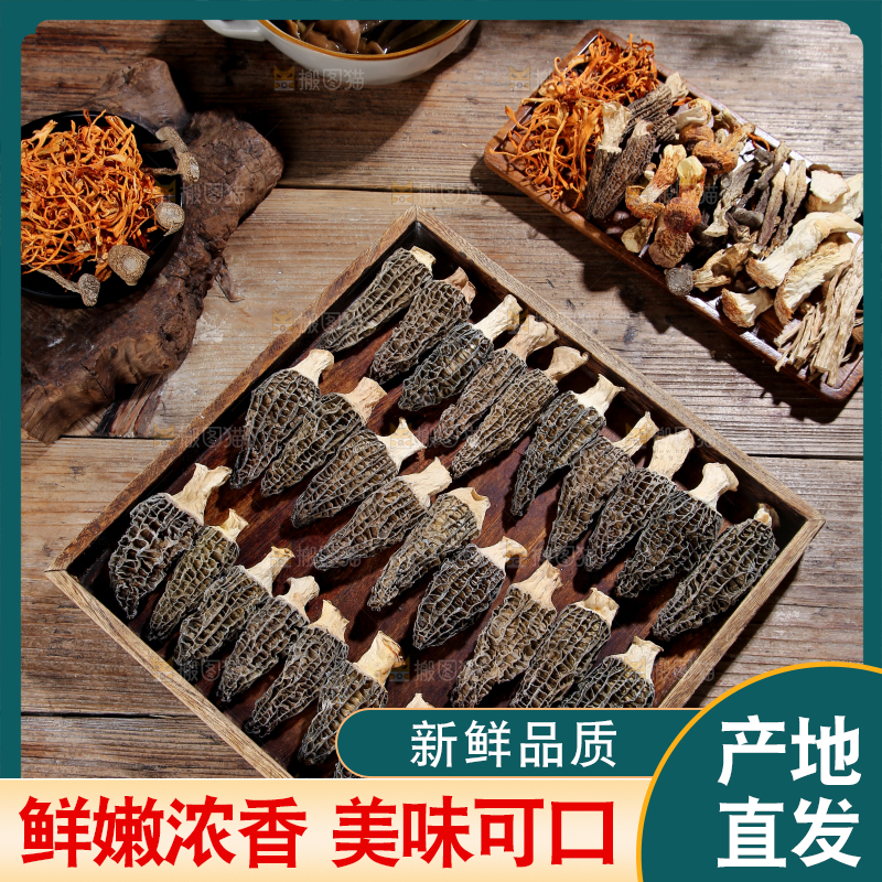 羊肚菌