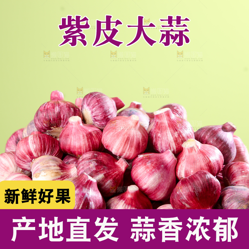 紫皮大蒜