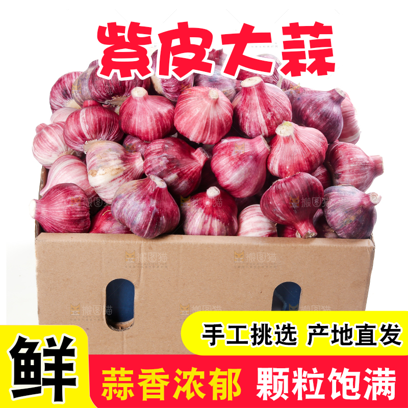 紫皮大蒜