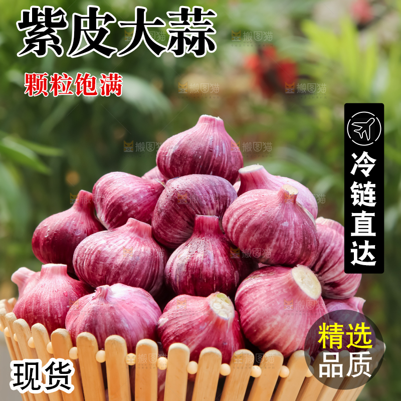 紫皮大蒜