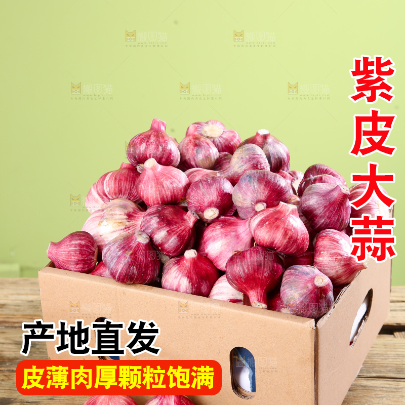 紫皮大蒜