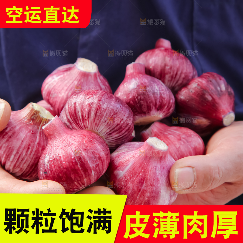 紫皮大蒜