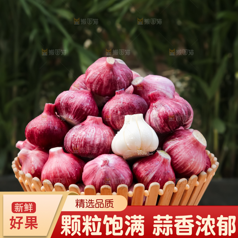紫皮大蒜
