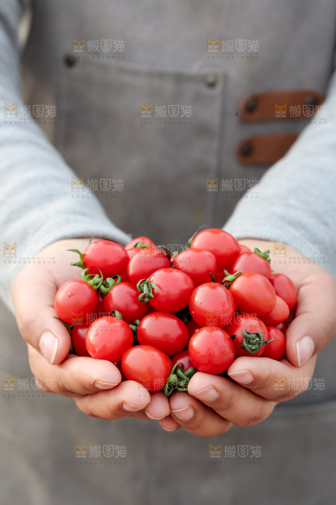 玲珑小番茄