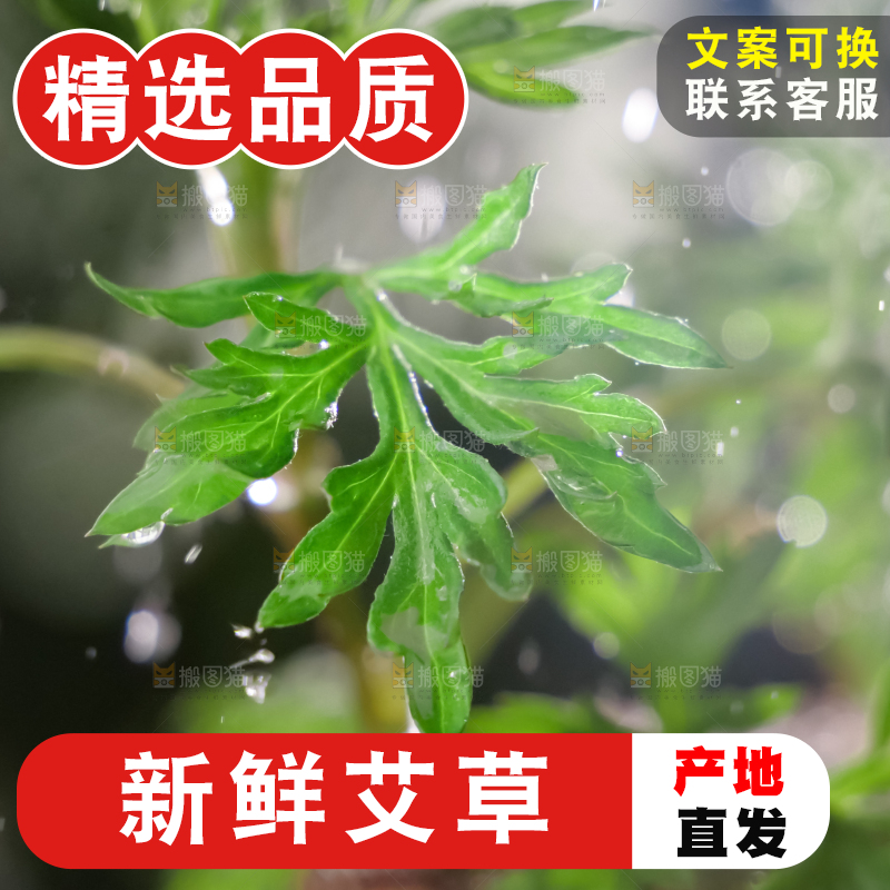 艾草