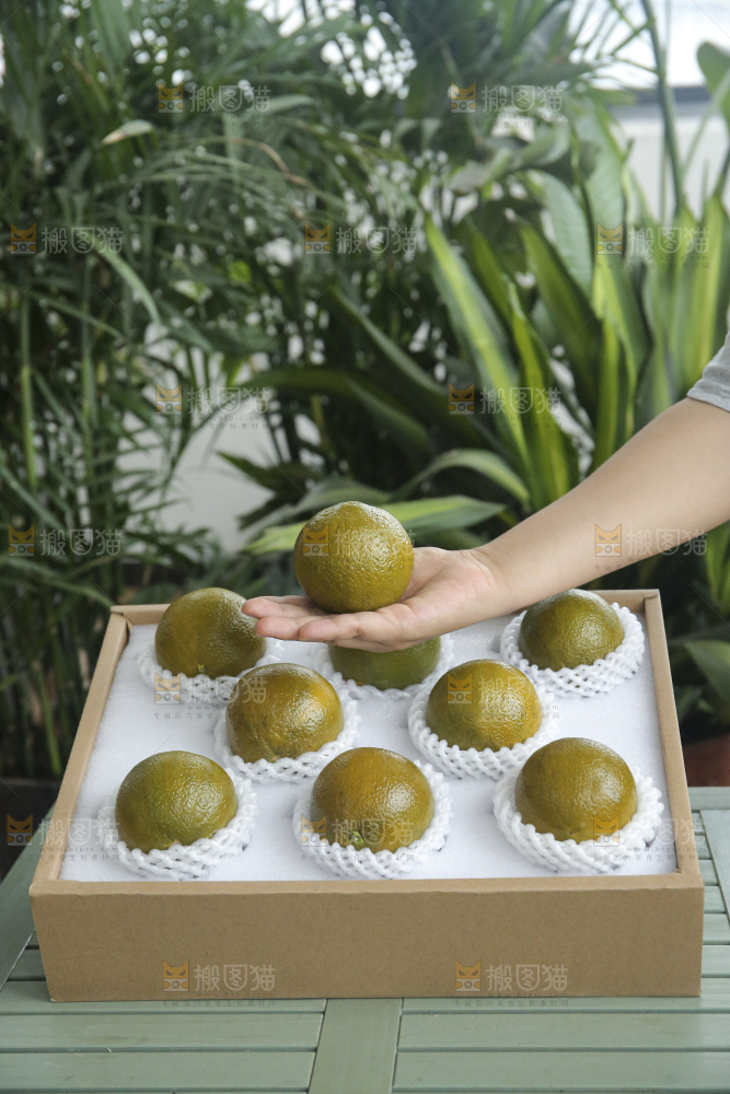 巧克力橙