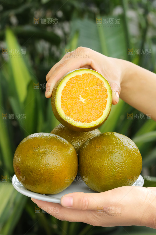 巧克力橙