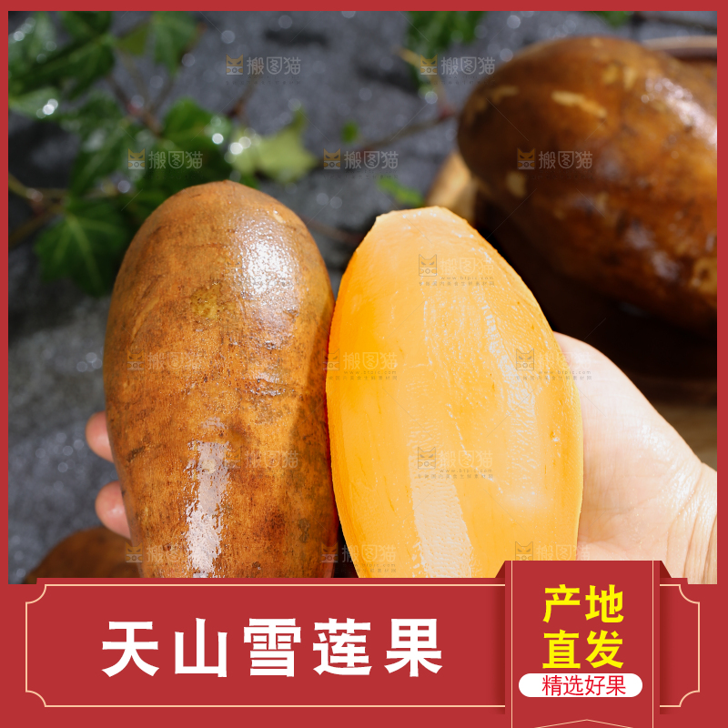 雪莲果