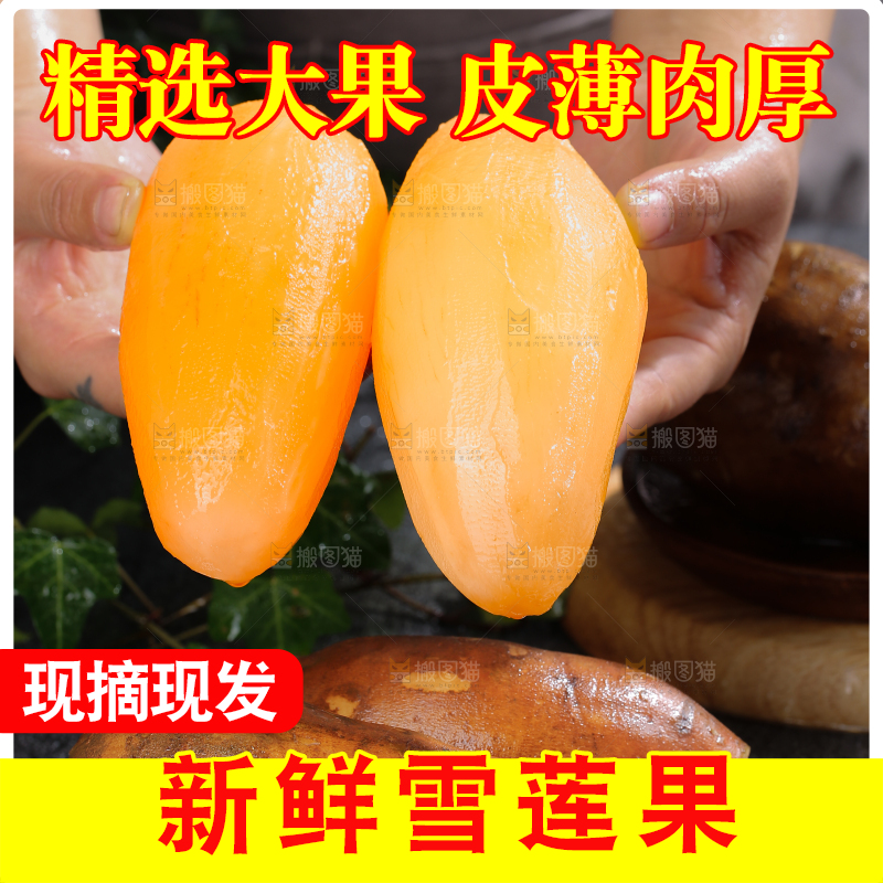 雪莲果