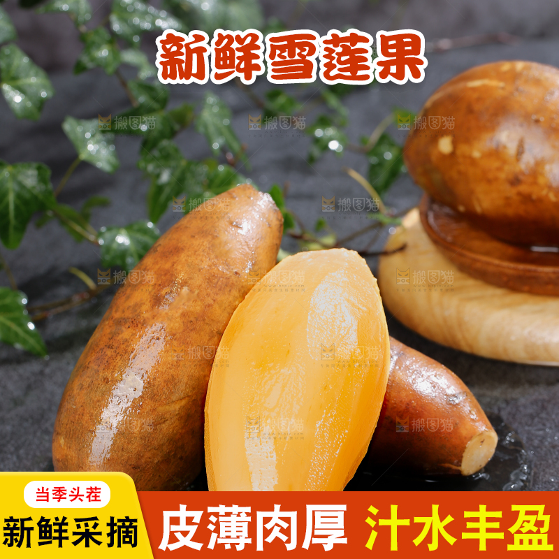 雪莲果