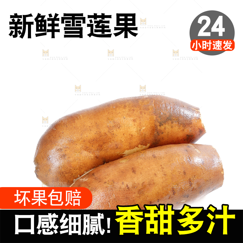雪莲果