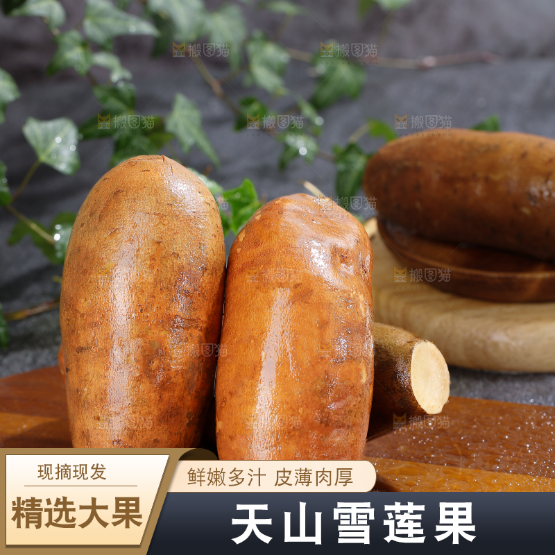 雪莲果