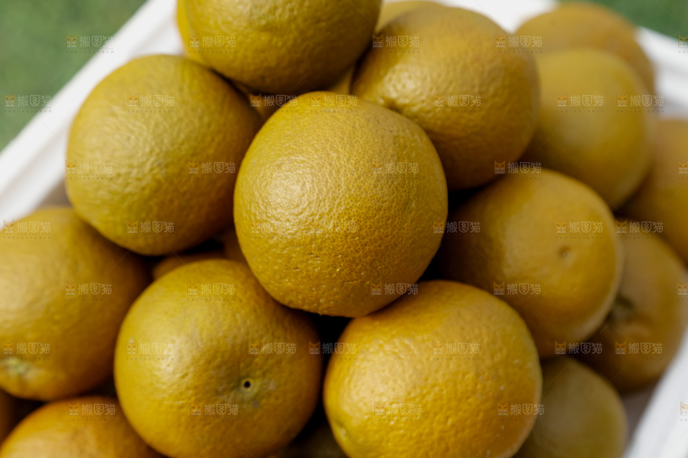 巧克力橙