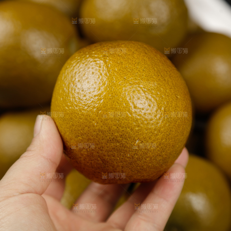 巧克力橙