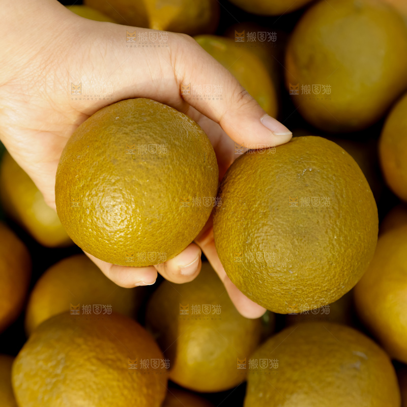 巧克力橙