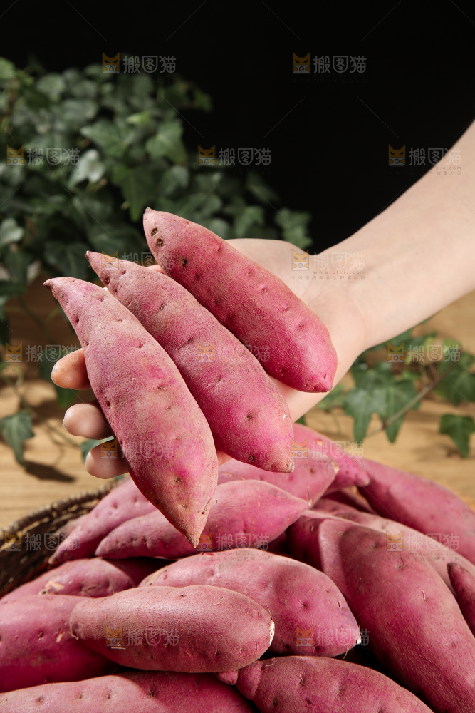 小香薯