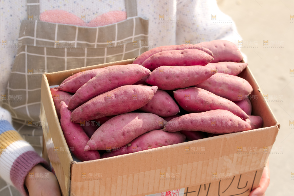 小香薯