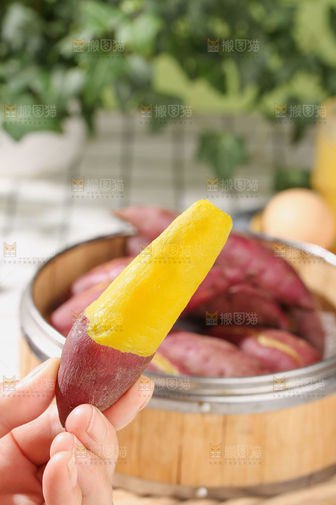 小香薯