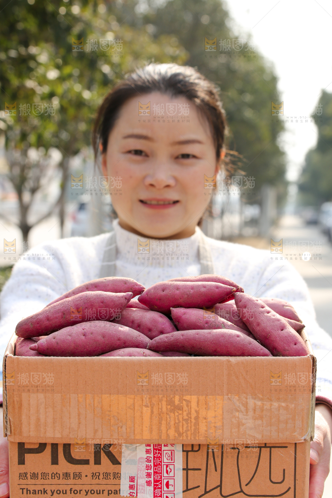 小香薯
