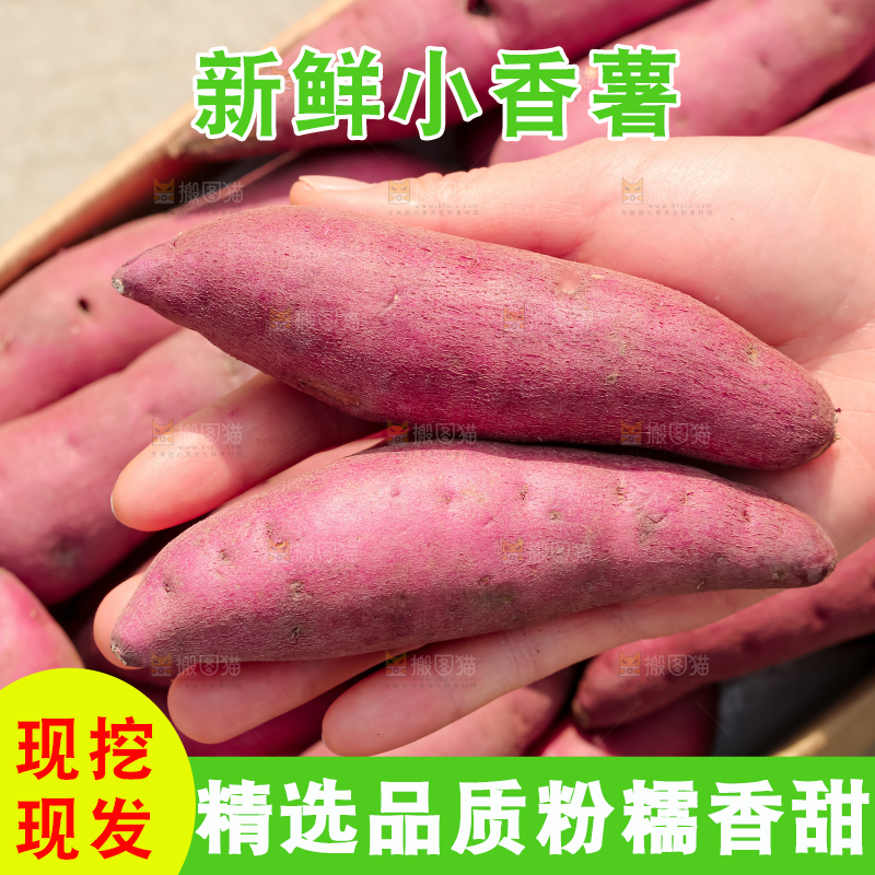小香薯