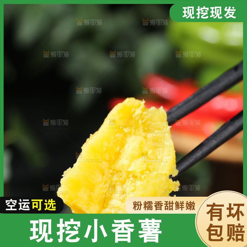 小香薯