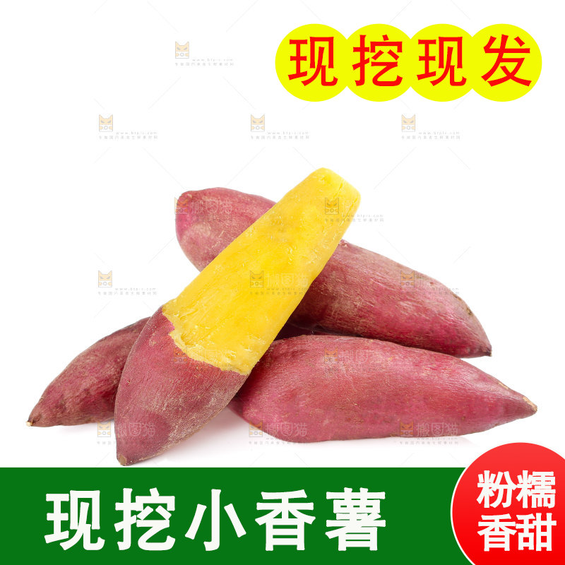 小香薯