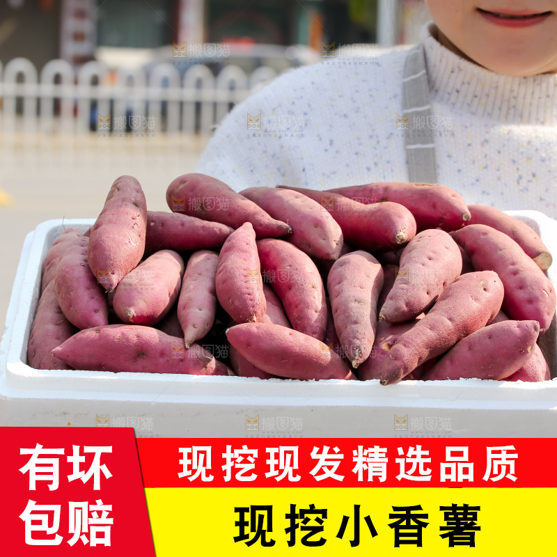 小香薯